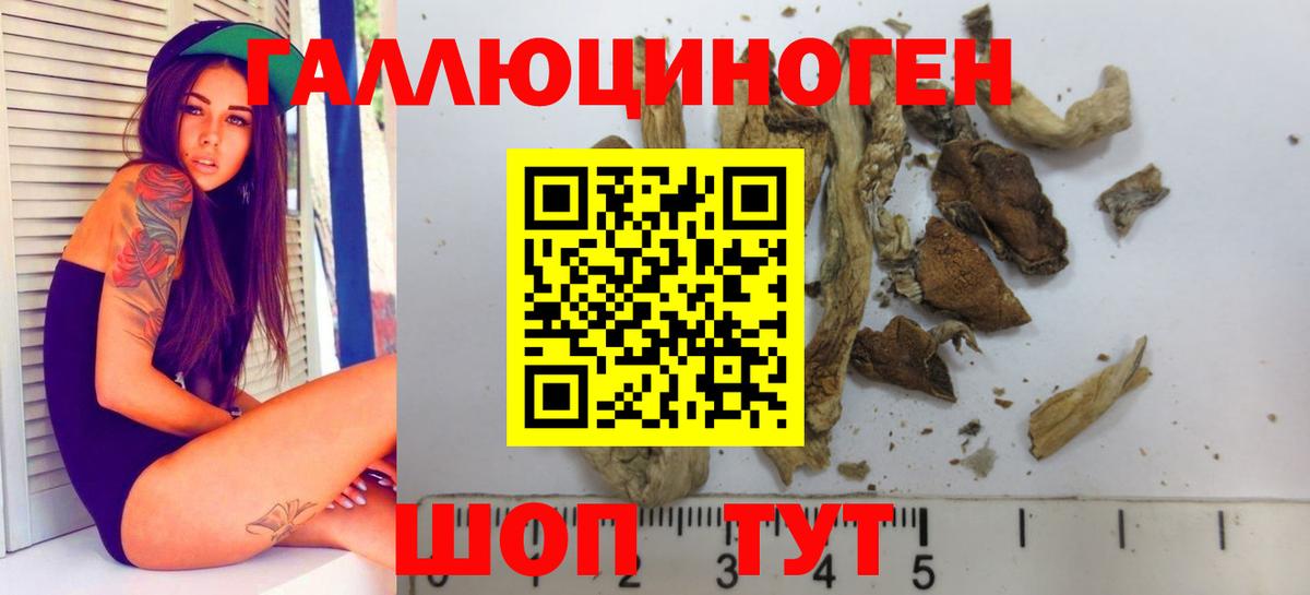 закладка  Псилоцибиновые грибы Magic Shrooms  Псилоцибиновые грибы GOLDEN TEACHER  Вход с VPN  Троицк 