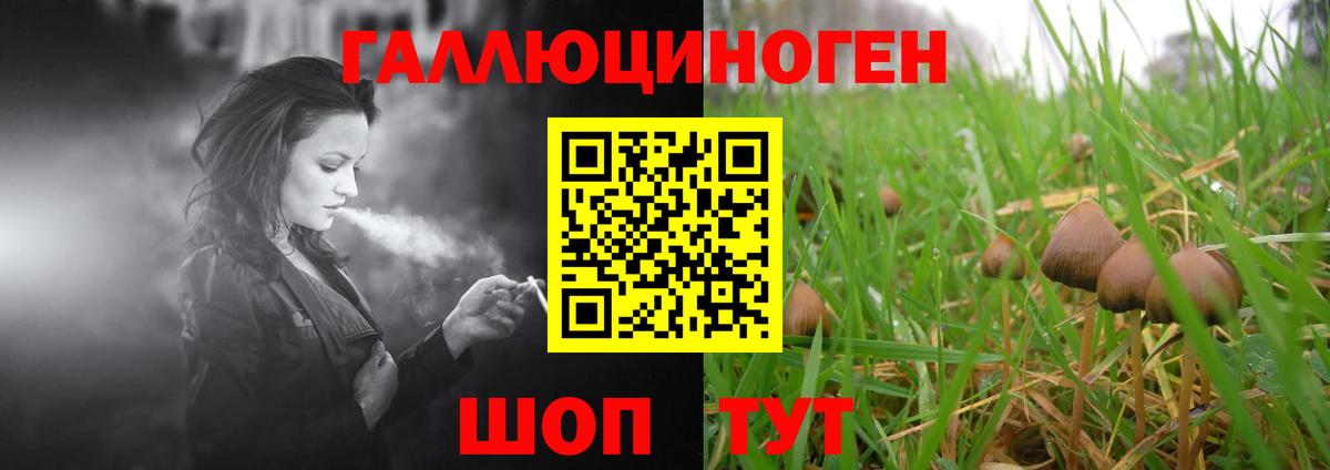 Псилоцибиновые грибы мухоморы Троицк